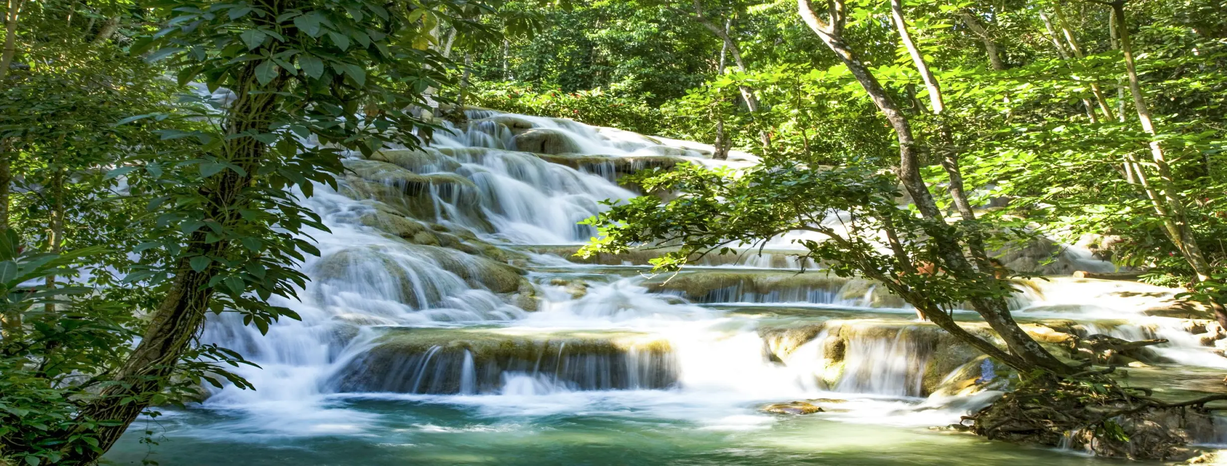 Image for Natural Wonders of Ocho Rios